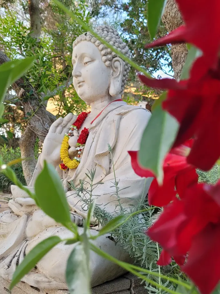 Peaceful Buddha statue and tropical flowers in the healing sanctuary gardens at Ayurvila Mallorca